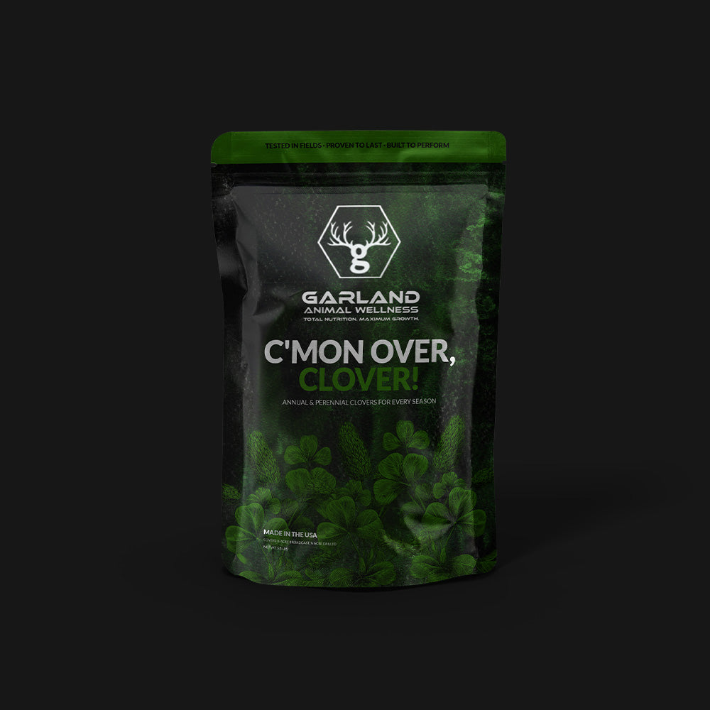 C'mon Over, Clover!