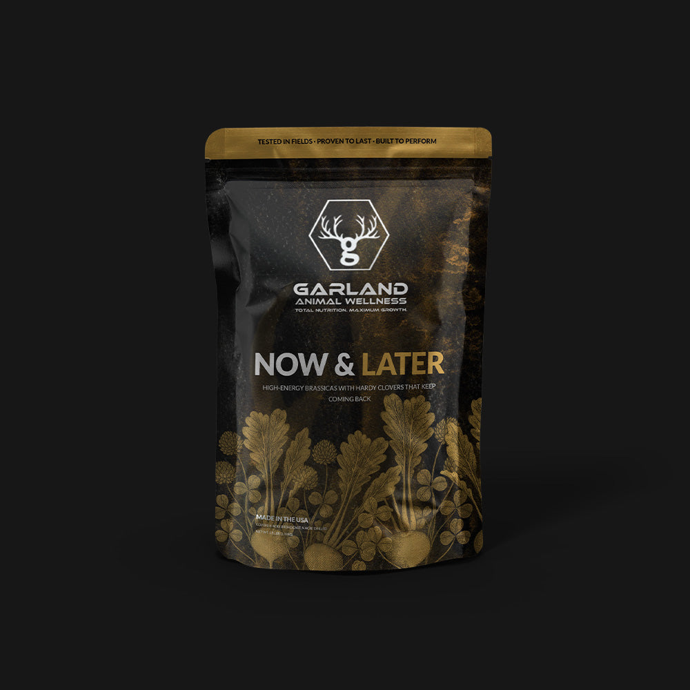 Now & Later - Brassicas & Clover