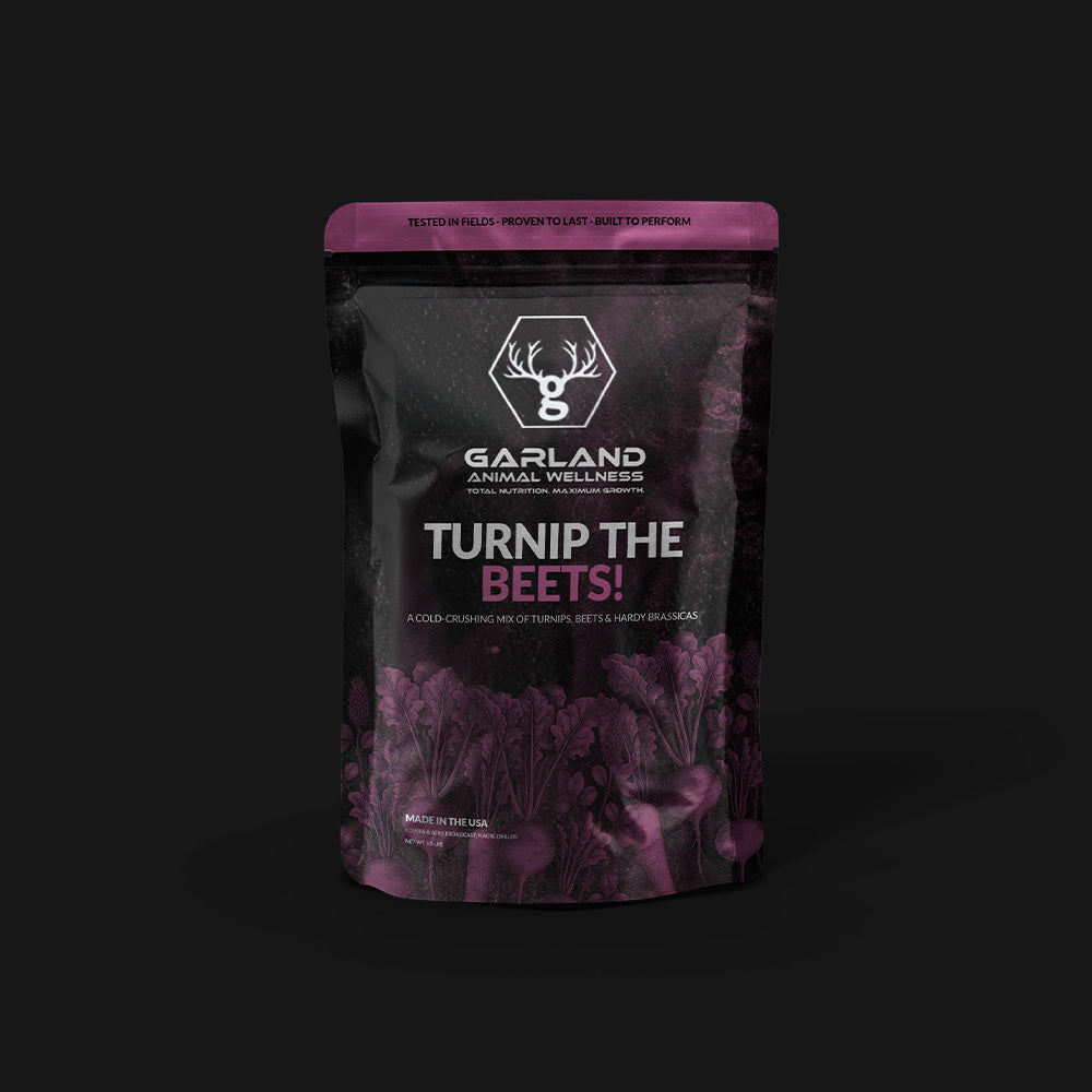 Turnip the Beets!