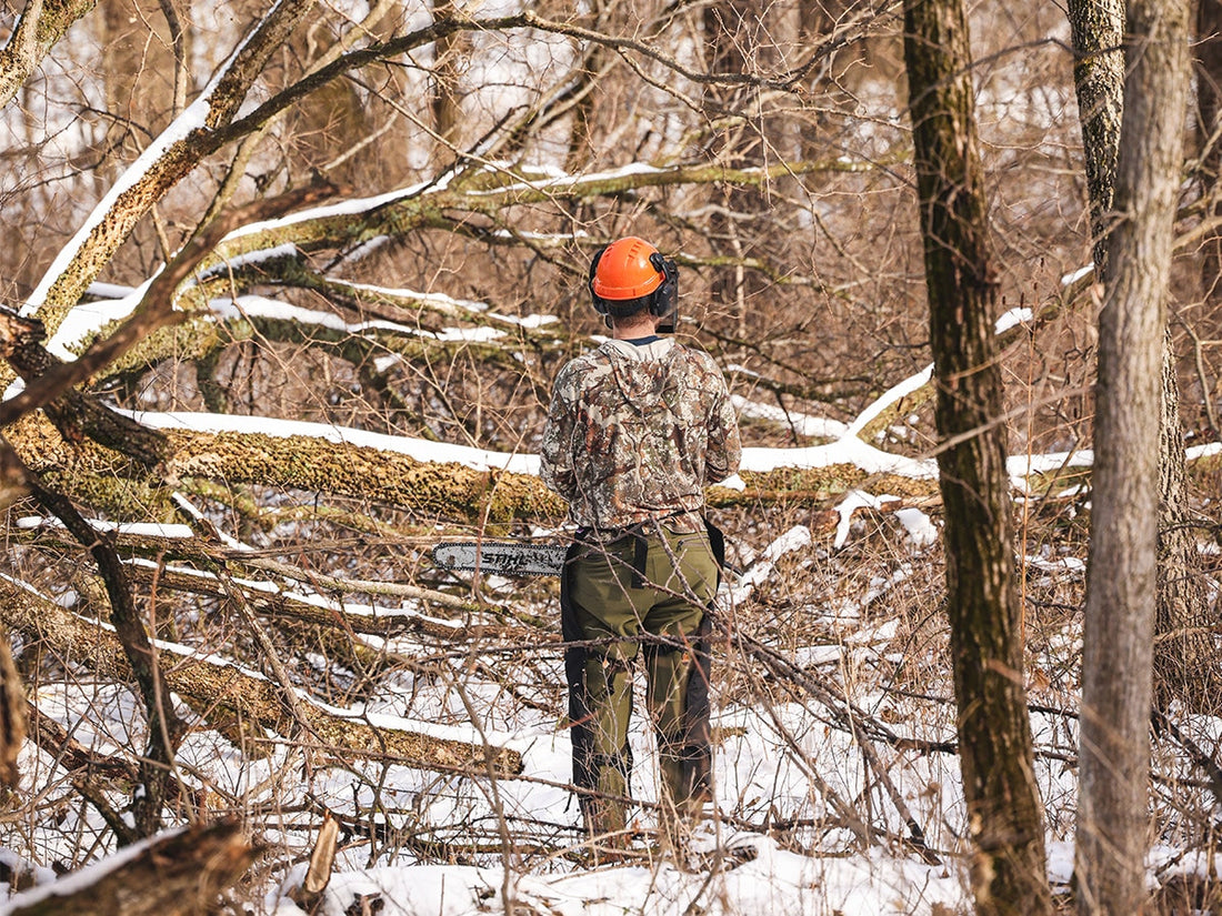 Deer Habitat Management Can Be a Monster. Here’s How to Tame It.