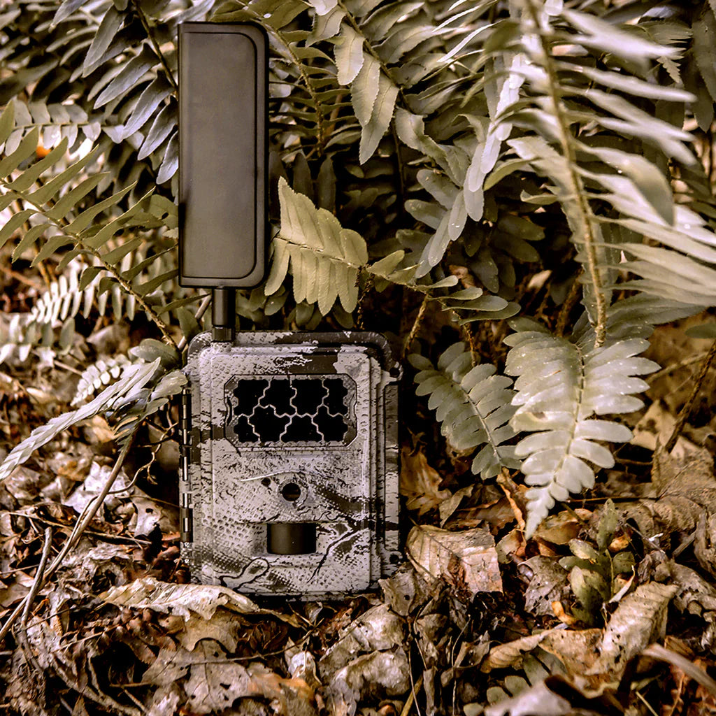 Spartan Camera - Trail Cameras