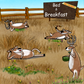 Bed & Breakfast - Native Grass & Forbs