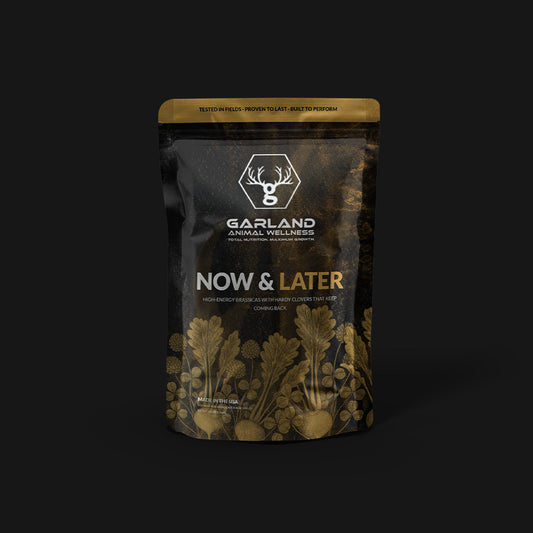 Now & Later - Brassicas & Clover